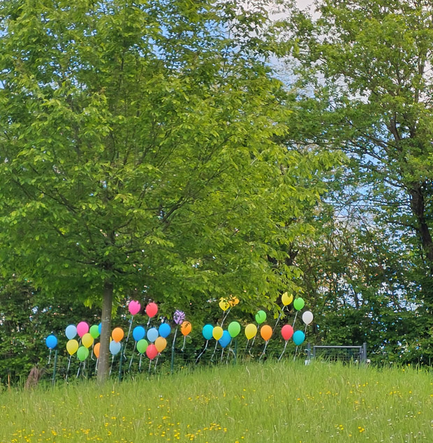 Mein Weg zum Osterlachen