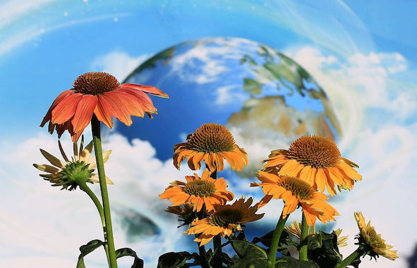 Earth Day