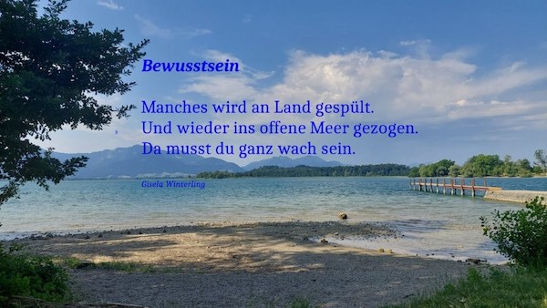 Angespült und festgehalten