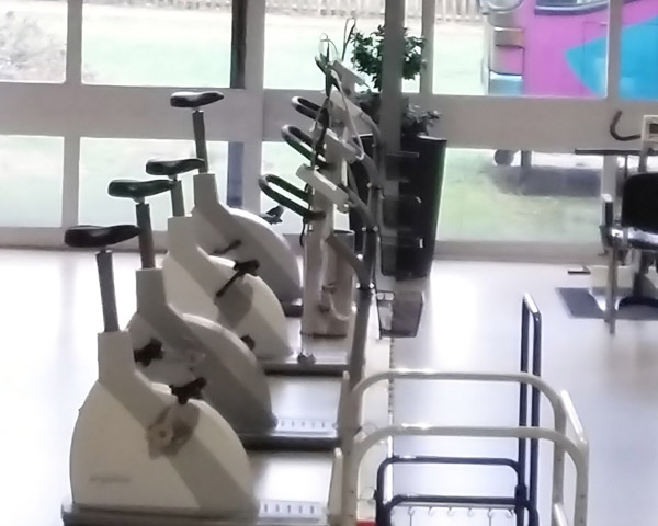 Fitness