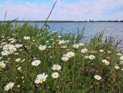 Trink- Pausen