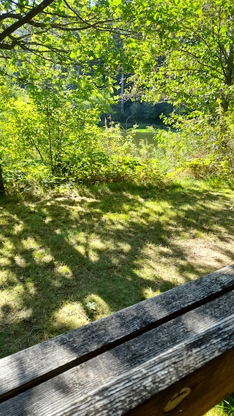 DIE HEILSAME KRAFT DER NATUR